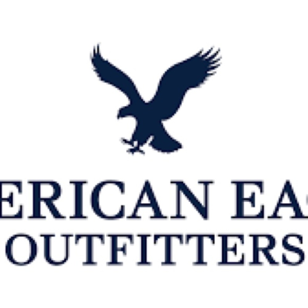 AE Stretch Low-Rise Baggy Wide-Leg Jeans • Light Bright Indigo • Size 4R BNWT - Picture 3 of 3